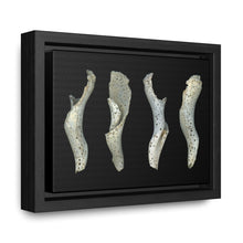Load image into Gallery viewer, Spotted Shell White Four by Matteo | Framed Canvas | Black Background
