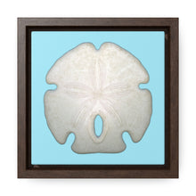 Load image into Gallery viewer, Arrowhead Sand Dollar Shell Top | Framed Canvas | Sky Blue Background
