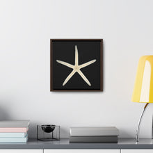 Load image into Gallery viewer, Finger Starfish Shell Bottom | Framed Canvas | Black Background
