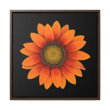 Load image into Gallery viewer, Gazania Flower Orange | Framed Canvas | Black Background
