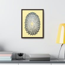 Load image into Gallery viewer, Keyhole Limpet Shell White Exterior | Framed Canvas | Sunshine Background
