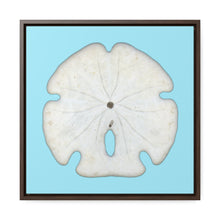 Load image into Gallery viewer, Arrowhead Sand Dollar Shell Bottom | Framed Canvas | Sky Blue Background
