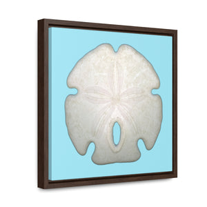 Arrowhead Sand Dollar Shell Top | Framed Canvas | Sky Blue Background
