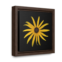 Load image into Gallery viewer, Black-eyed Susan Rudbeckia Flower Yellow | Framed Canvas | Black Background
