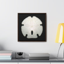 Load image into Gallery viewer, Arrowhead Sand Dollar Shell Top | Framed Canvas | Black Background

