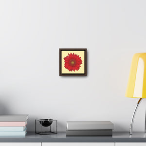 Gerbera Daisy Flower Red | Framed Canvas | Sunshine Background