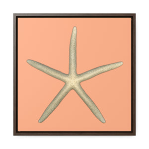 Finger Starfish Shell Top | Framed Canvas | Peach Background