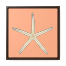 Load image into Gallery viewer, Finger Starfish Shell Bottom | Framed Canvas | Peach Background
