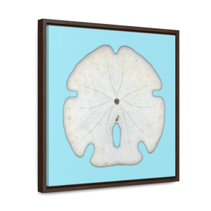Arrowhead Sand Dollar Shell Bottom | Framed Canvas | Sky Blue Background