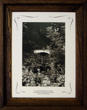Load image into Gallery viewer, Three Rivers Series, Gazebo behind O&#39;Malley Law Office Framed COA Rooster #299690 Image.
