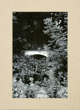 Load image into Gallery viewer, Three Rivers series, Gazebo behind O&#39;Malley Law Office by Matteo
