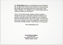 Load image into Gallery viewer, Three Rivers series, Uni-Q, Sherman Williams by Matteo
