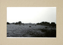 Load image into Gallery viewer, Three Rivers series, Hayfield, Nothdruft Farm by Matteo
