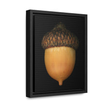 Load image into Gallery viewer, Acorn by Matteo | Framed Wrap Canvas | Black Background
