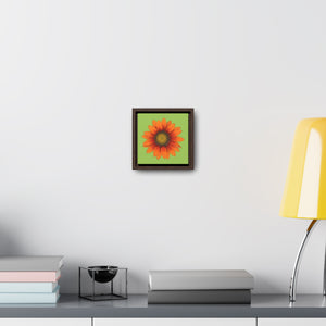 Gazania Flower Orange | Framed Canvas | Pistachio Green Background