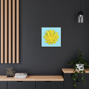 Hawkweed Flower Yellow | Framed Canvas | Sky Blue Background