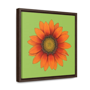 Gazania Flower Orange | Framed Canvas | Pistachio Green Background