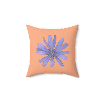 Throw Pillow | Chicory Flower Blue | Peach | 14x14 Bloomcore Cottagecore Gardencore Fairycore