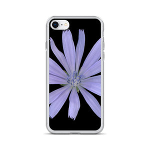 iPhone Case | Chicory Flower Blue | Black Background