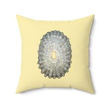 Load image into Gallery viewer, Throw Pillow | Keyhole Limpet Shell White | Sunshine Yellow | Front | 20x20 Oceancore Seacore Naturecore

