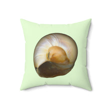 Load image into Gallery viewer, Throw Pillow | Moon Snail Shell Shark&#39;s Eye | Sea Glass | Back | 18x18 Oceancore Seacore Naturecore
