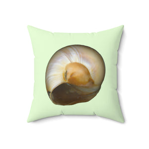 Throw Pillow | Moon Snail Shell Shark's Eye | Sea Glass | Back | 18x18 Oceancore Seacore Naturecore