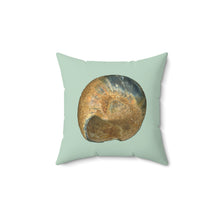 Load image into Gallery viewer, Throw Pillow | Moon Snail Shell Black &amp; Rust | Sage | Back | 14x14 Oceancore Seacore Naturecore
