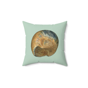 Throw Pillow | Moon Snail Shell Black & Rust | Sage | Back | 14x14 Oceancore Seacore Naturecore