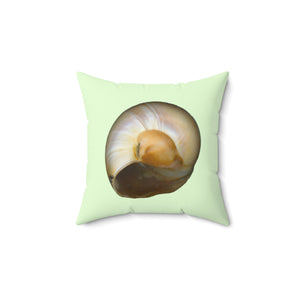 Throw Pillow | Moon Snail Shell Shark's Eye | Sea Glass | Back | 14x14 Oceancore Seacore Naturecore