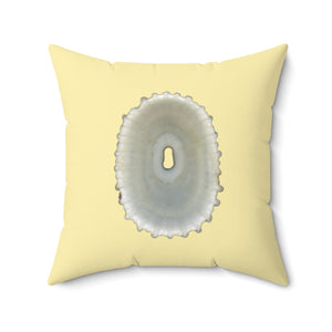 Throw Pillow | Keyhole Limpet Shell White | Sunshine Yellow | Back | 20x20 Oceancore Seacore Naturecore