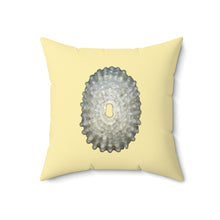 Load image into Gallery viewer, Throw Pillow | Keyhole Limpet Shell White | Sunshine Yellow | Front | 18x18 Oceancore Seacore Naturecore
