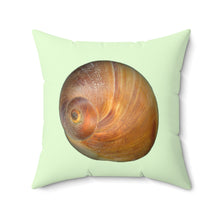 Load image into Gallery viewer, Throw Pillow | Moon Snail Shell Shark&#39;s Eye | Sea Glass | Front | 20x20 Oceancore Seacore Naturecore

