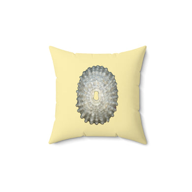 Throw Pillow | Keyhole Limpet Shell White | Sunshine Yellow | Front | 14x14 Oceancore Seacore Naturecore