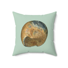 Load image into Gallery viewer, Throw Pillow | Moon Snail Shell Black &amp; Rust | Sage | Back | 18x18 Oceancore Seacore Naturecore
