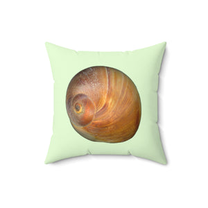 Throw Pillow | Moon Snail Shell Shark's Eye | Sea Glass | Front | 16x16 Oceancore Seacore Naturecore