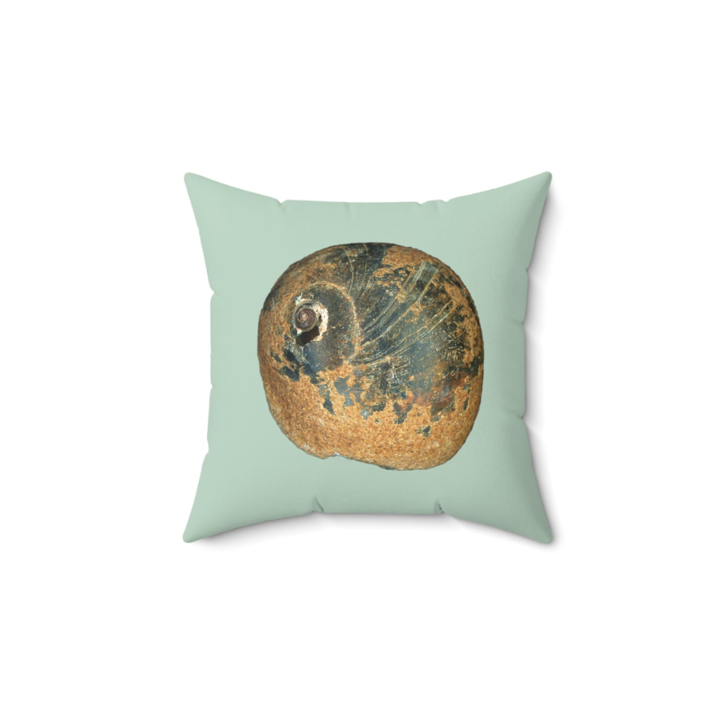 Moon Snail Shell Black & Rust | Square Throw Pillow | Sage