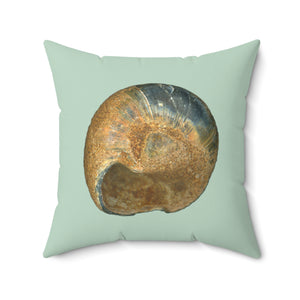 Throw Pillow | Moon Snail Shell Black & Rust | Sage | Back | 20x20 Oceancore Seacore Naturecore