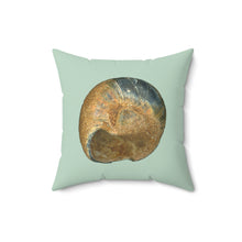 Load image into Gallery viewer, Throw Pillow | Moon Snail Shell Black &amp; Rust | Sage | Back | 16x16 Oceancore Seacore Naturecore
