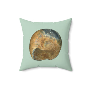 Throw Pillow | Moon Snail Shell Black & Rust | Sage | Back | 16x16 Oceancore Seacore Naturecore