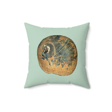 Load image into Gallery viewer, Throw Pillow | Moon Snail Shell Black &amp; Rust | Sage | Front | 16x16 Oceancore Seacore Naturecore
