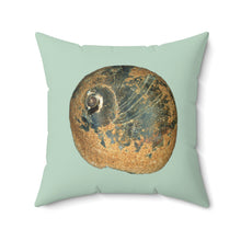 Load image into Gallery viewer, Moon Snail Shell Black &amp; Rust | Square Throw Pillow | Sage
