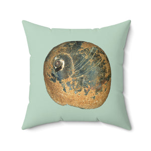 Throw Pillow | Moon Snail Shell Black & Rust | Sage | Front | 20x20 Oceancore Seacore Naturecore
