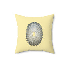 Load image into Gallery viewer, Throw Pillow | Keyhole Limpet Shell White | Sunshine Yellow | Front | 16x16 Oceancore Seacore Naturecore
