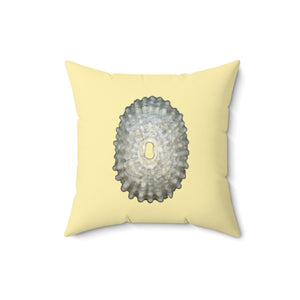 Throw Pillow | Keyhole Limpet Shell White | Sunshine Yellow | Front | 16x16 Oceancore Seacore Naturecore