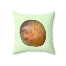 Load image into Gallery viewer, Throw Pillow | Moon Snail Shell Shark&#39;s Eye | Sea Glass | Front | 18x18 Oceancore Seacore Naturecore
