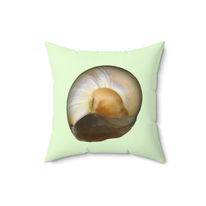 Throw Pillow | Moon Snail Shell Shark's Eye | Sea Glass | Back | 16x16 Oceancore Seacore Naturecore
