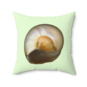 Throw Pillow | Moon Snail Shell Shark's Eye | Sea Glass | Back | 20x20 Oceancore Seacore Naturecore