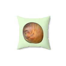Load image into Gallery viewer, Throw Pillow | Moon Snail Shell Shark&#39;s Eye | Sea Glass | Front | 14x14 Oceancore Seacore Naturecore
