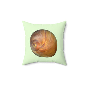 Throw Pillow | Moon Snail Shell Shark's Eye | Sea Glass | Front | 14x14 Oceancore Seacore Naturecore