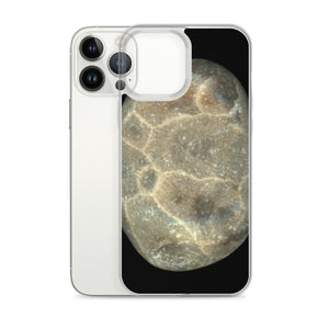 iPhone Case | Petoskey Stone by Matteo